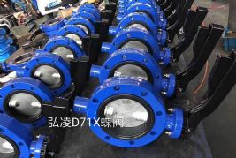 D71X����