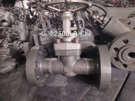 2500LBբ��