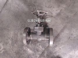 2500LBբ��
